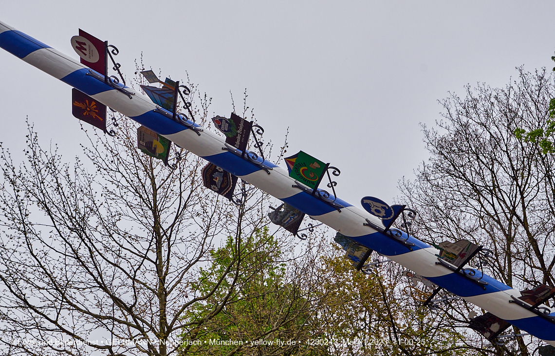 01.05.2023 - Maibaumaufstellung in Berg am Laim